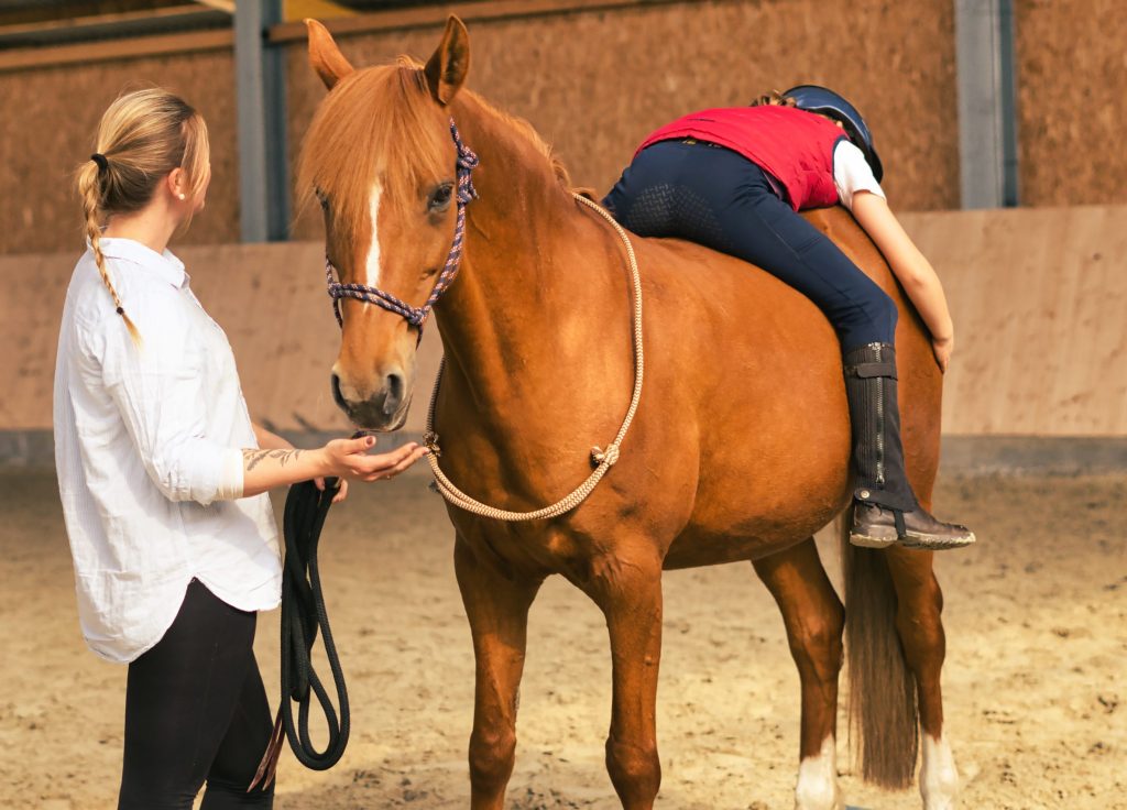 Eine Klientin liegt mit ihrem Bauch auf der Hüfte des Pferdes um die Wärme und die Atmung des Pferdes zu spüren. Dies ist eine Übung der ergotherapautischen Reittherapie in Hamburg